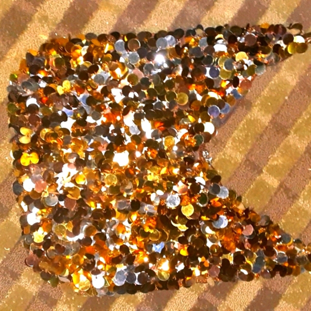 Hobo Slouchy beaded bling bag